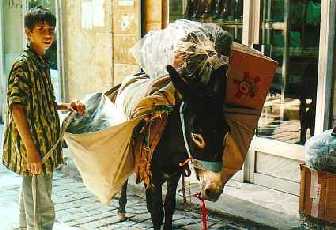 In der Altstadt von Aleppo