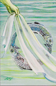 Illustration der Fische von Rita Mühlbauer aus dem Buch Astrotarot von Hermine Meier-Zehl und Rita Mühlbauer, Südwest Verlag
